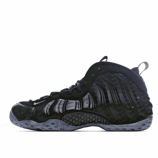 Picture of NIKE AIR FOAMPOSITE FULL HOOK SPRAY