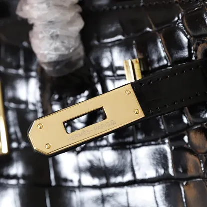 Picture of Hermes Crocodile
