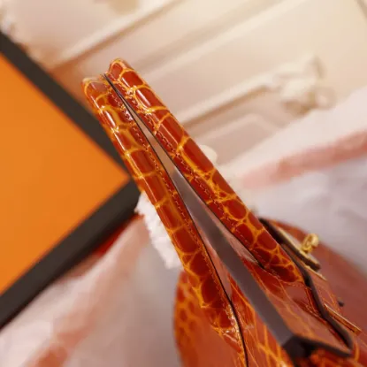 Picture of Hermes Crocodile