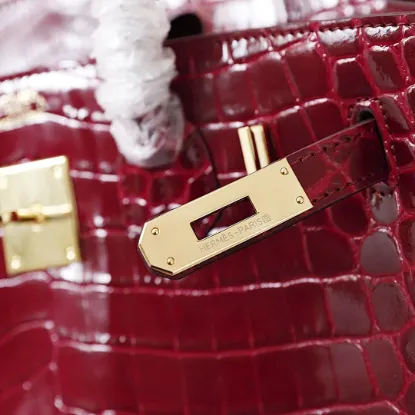 Picture of Hermes Crocodile