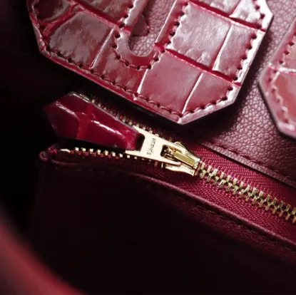 Picture of Hermes Crocodile