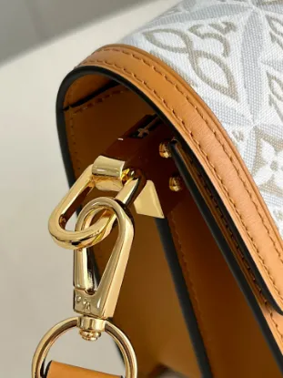 Picture of Louis Vuitton Size 20 x 15 x 9 cm