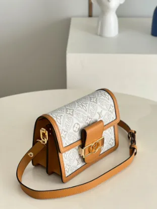 Picture of Louis Vuitton Size 20 x 15 x 9 cm