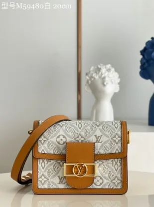 Picture of Louis Vuitton Size 20 x 15 x 9 cm