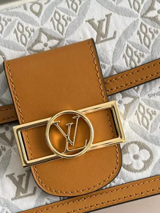 Picture of Louis Vuitton Size 20 x 15 x 9 cm