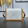 Picture of Louis Vuitton Size: 20 x 15 x 9 cm