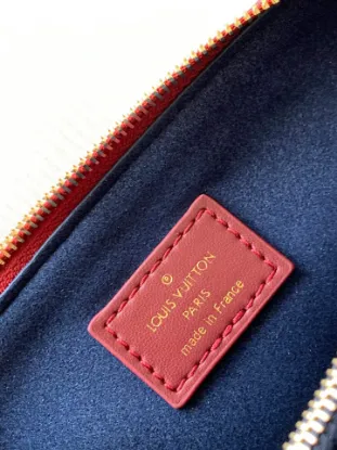 Picture of Louis Vuitton Size: 20 x 16 x 12 cm