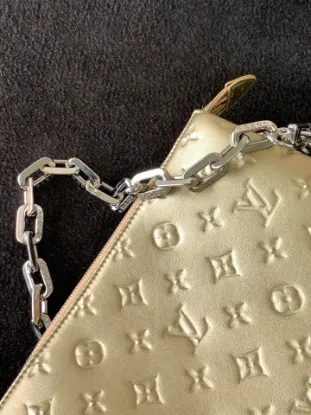 Picture of Louis Vuitton Size: 20 x 16 x 12 cm