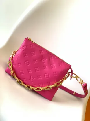 Picture of Louis Vuitton Size: 20 x 16 x 12 cm