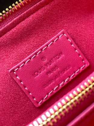 Picture of Louis Vuitton Size: 20 x 16 x 12 cm
