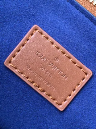 Picture of Louis Vuitton Size: 20 x 16 x 12 cm