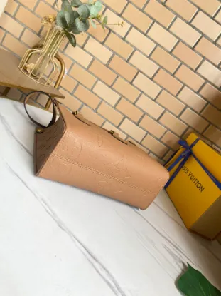 Picture of Louis Vuitton Size: 25 x 19 x 11.5 cm
