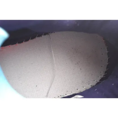 Picture of Adidas Forum 84 Low 'Suns'