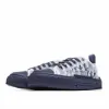 Picture of Dior B23 Oblique Slip-on Low Top Sneakers Sheer Print Sneakers
