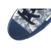 Picture of Dior B23 Oblique Slip-on Low Top Sneakers Sheer Print Sneakers