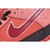 Picture of CONCEPTS X NIKE SB DUNK LOW