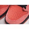 Picture of CONCEPTS X NIKE SB DUNK LOW