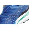 Picture of Asics GEL-Kayano Running Shoes