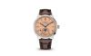 Picture of 5236P - In-line Perpetual Calendar.