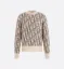 Picture of Dior Oblique Sweater