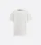 Picture of Dior Oblique Relaxed-Fit T-Shirt
