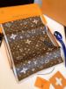 Picture of LV scarf