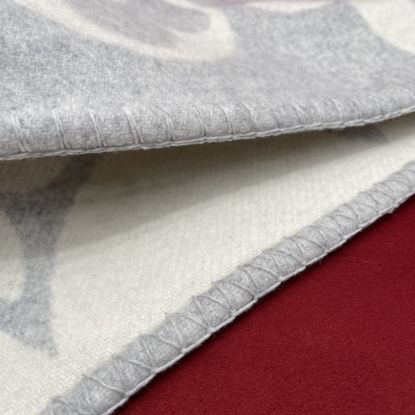 Picture of LV scarf