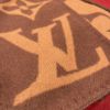 Picture of LV scarf