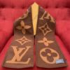 Picture of LV scarf