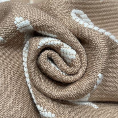 Picture of LV scarf