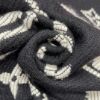 Picture of LV scarf