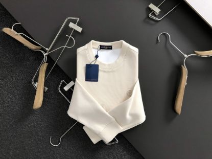 Picture of Louis Vuitton