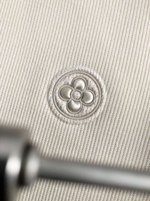 Picture of Louis Vuitton
