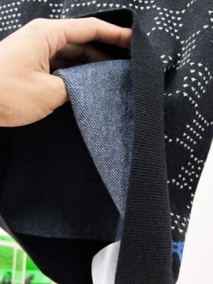 Picture of Louis Vuitton