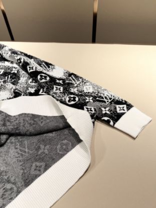 Picture of Louis Vuitton