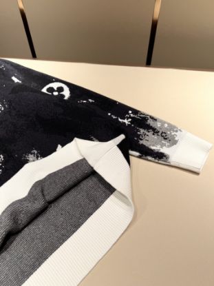 Picture of Louis Vuitton