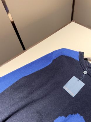 Picture of Louis Vuitton
