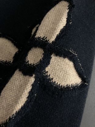 Picture of Louis Vuitton