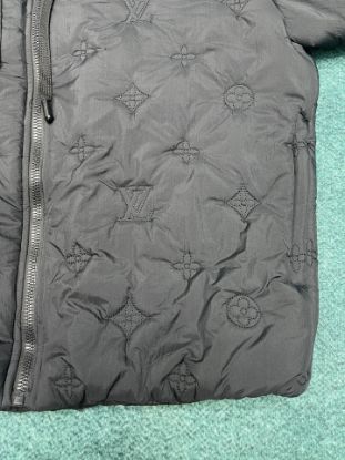 Picture of Louis Vuitton