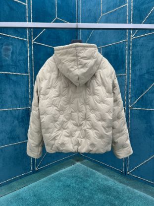 Picture of Louis Vuitton