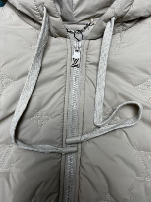 Picture of Louis Vuitton