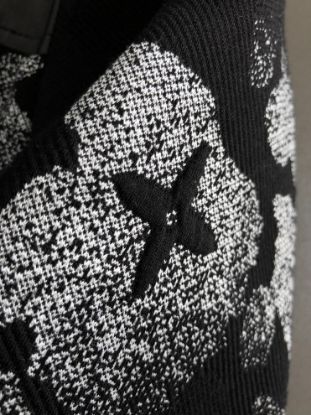 Picture of Louis Vuitton