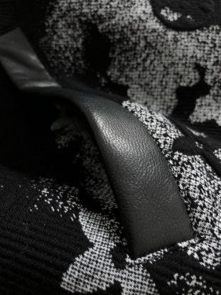 Picture of Louis Vuitton