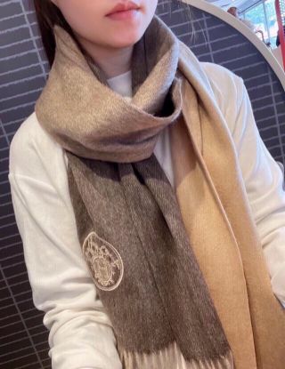 Picture of HERMES scarf