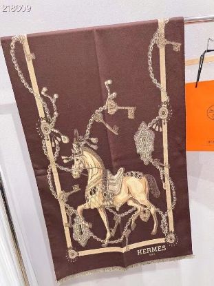 Picture of HERMES scarf