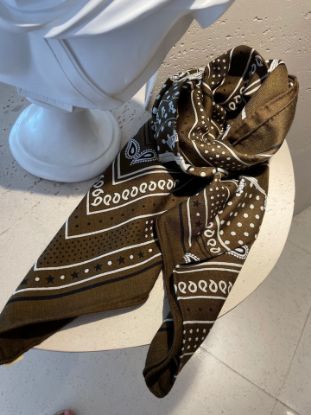Picture of HERMES scarf